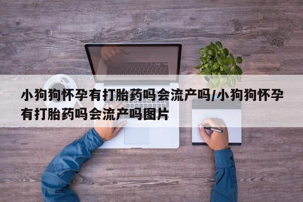 流产药怎么买小狗狗怀孕有打胎药吗会流产吗/小狗狗怀孕有打胎药吗会流产吗图片