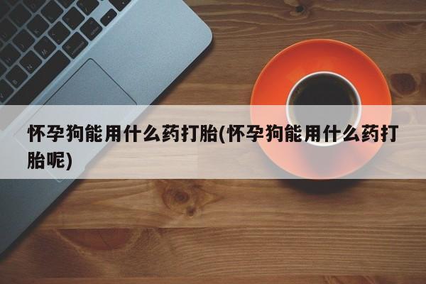 流产药怎么买怀孕狗能用什么药打胎(怀孕狗能用什么药打胎呢)
