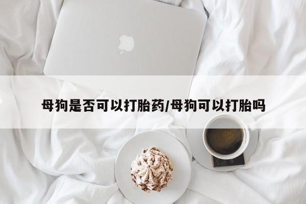 流产药怎么买母狗是否可以打胎药/母狗可以打胎吗